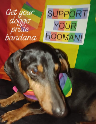 DOGGO PRIDE BANDANAS